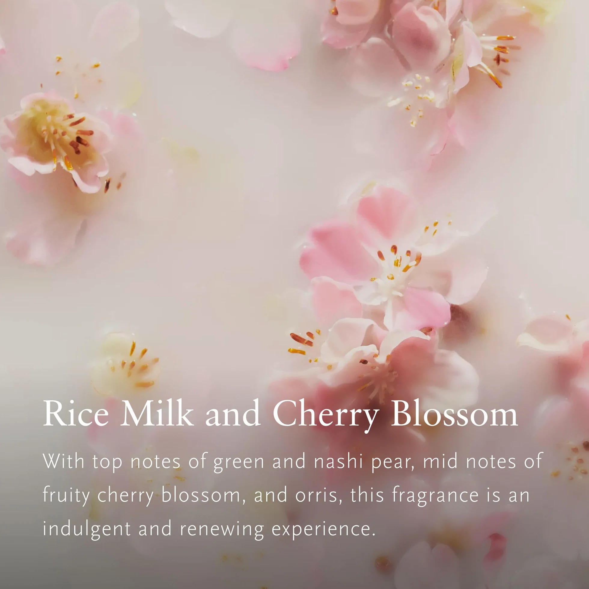 RITUALS Geschenkset The Ritual of Sakura Medium Körperpflege Reismilch Kirschblüten