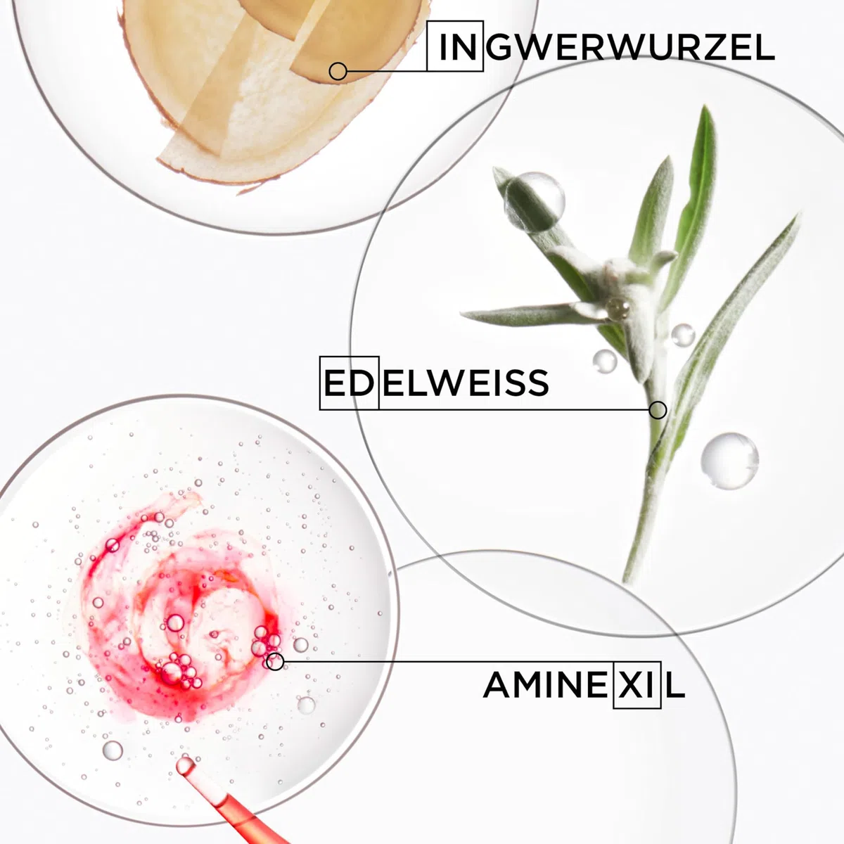 Kérastase, Genesis, Pflegeroutine mit Shampoo, Haarspülung, Haarkur & Hitzeschutzspray, Für feines und brüchiges Haar, Gegen Haarausfall und Haarbruch