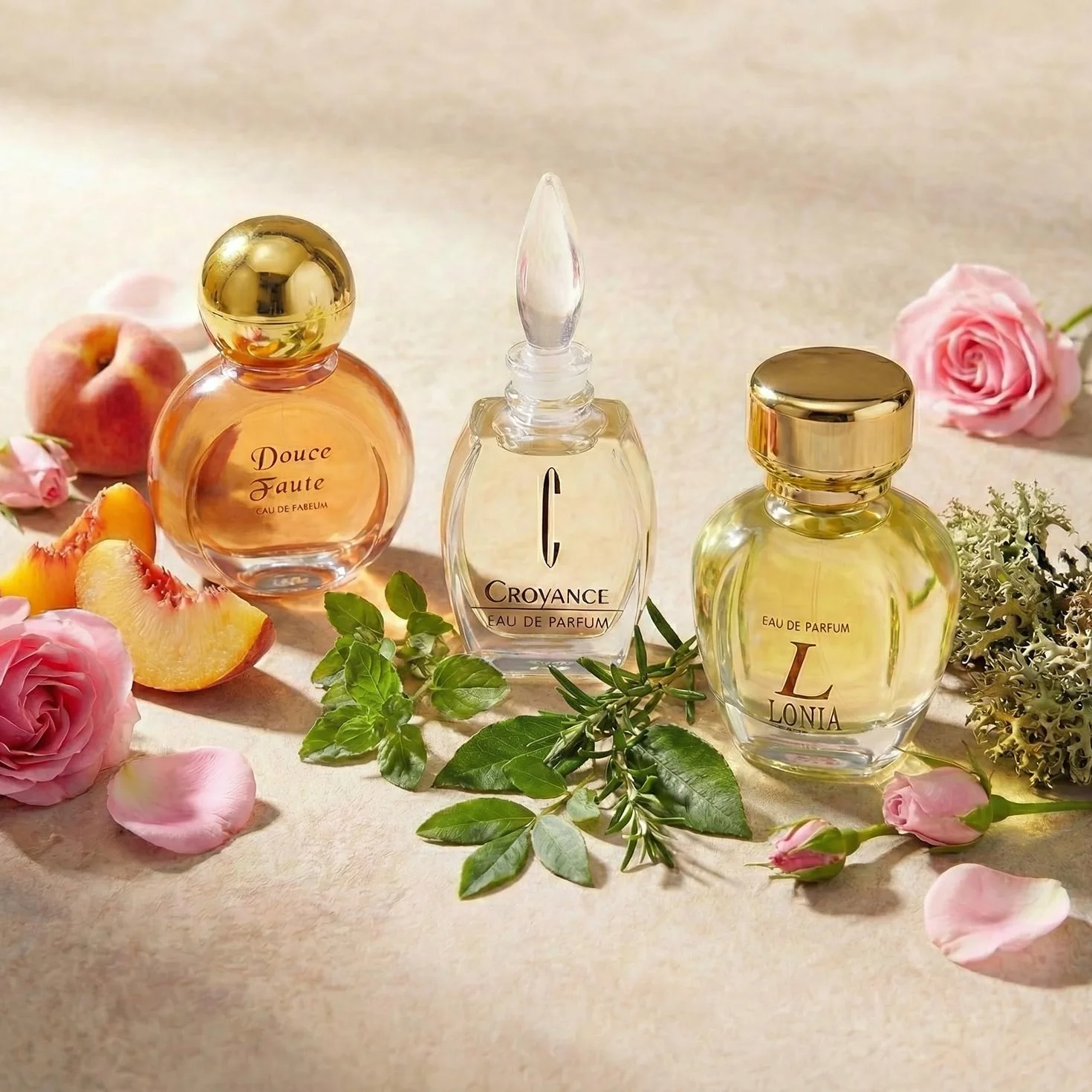 Top Ten Gift Set 10 Eau de Parfums Miniatures 57.8 ml