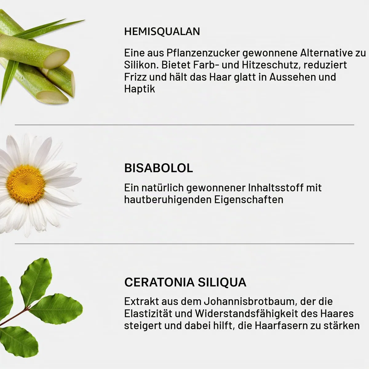 SEEN Ausblascreme, parfümfrei, nicht komedogene Haarcreme, dermatologisch entwickelt, reduziert Kräuseln, Hitzeschutz, sicher für empfindliche, zu Ekzemen und zu Akne neigende Haut