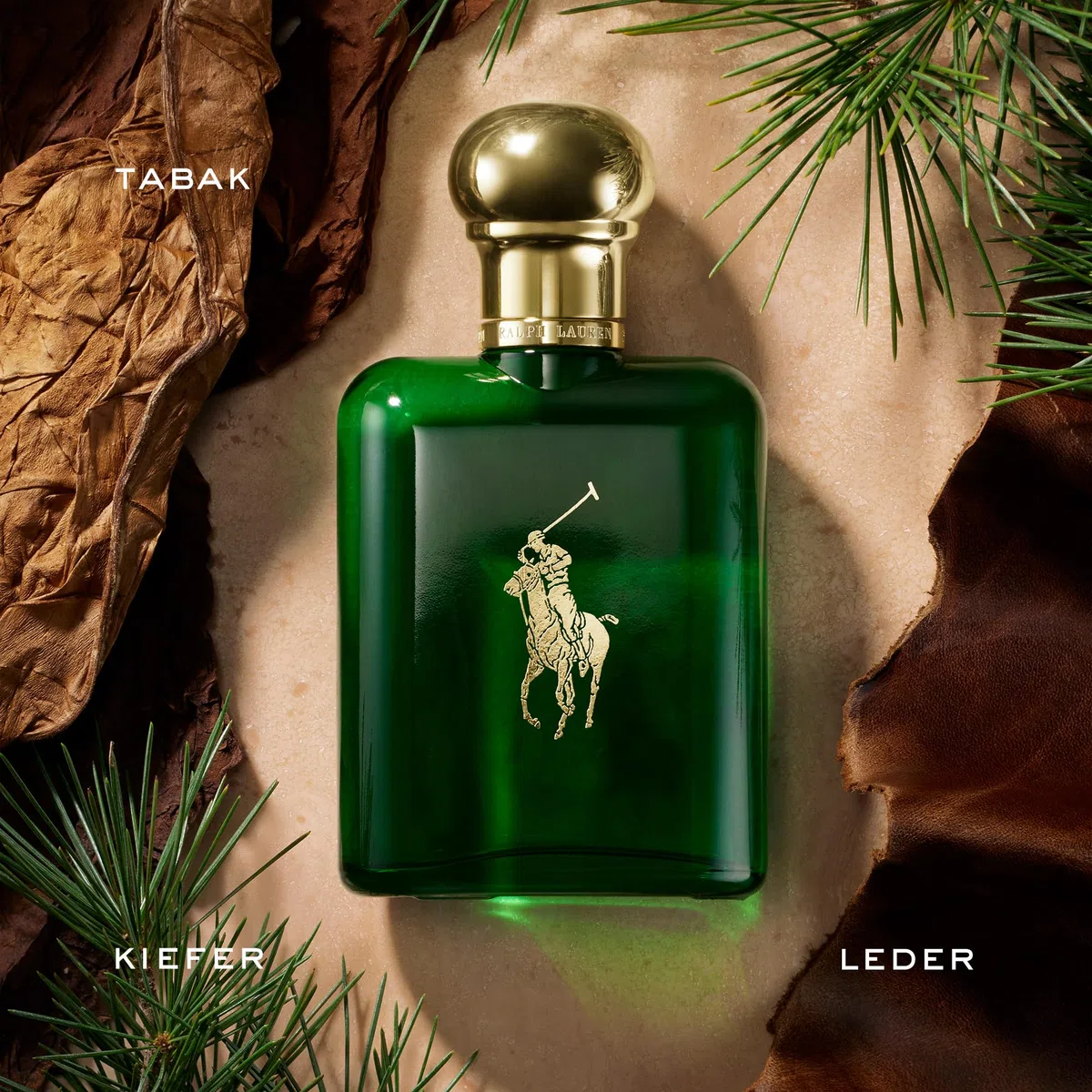 Ralph Lauren Polo Eau de Toilette für Herren, maskuliner Duft mit Pinie, Basilikum & Eichenmoos, holzig-krautige Nuancen, 200 ml