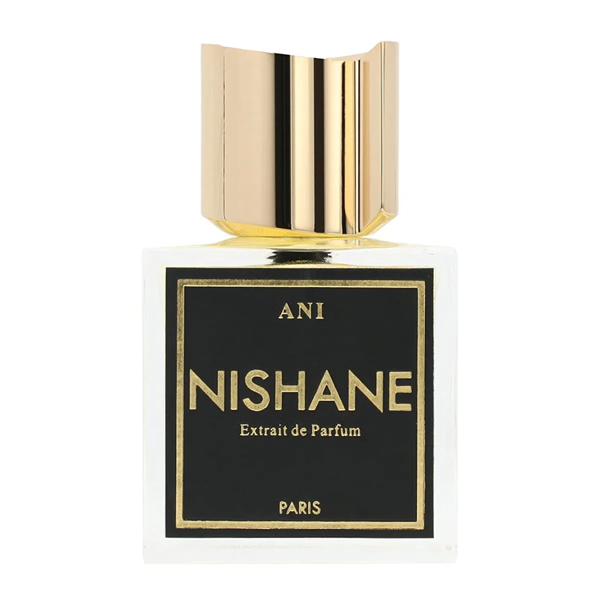 NISHANE Ani Extrait de Parfum 100 ml